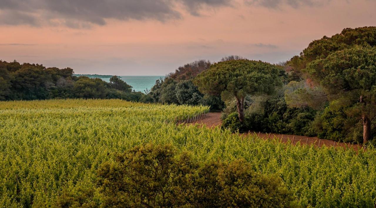 Masseria Mongio Dell'Elefante Otranto Exterior foto